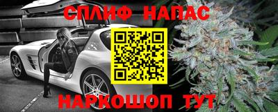 прущие грибы Нягань