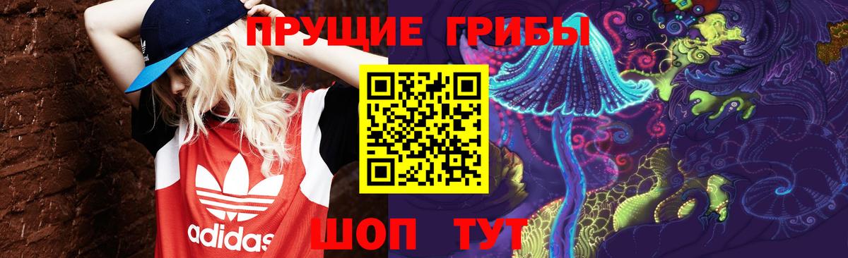 Галлюциногенные грибы Magic Shrooms Славянск-на-Кубани