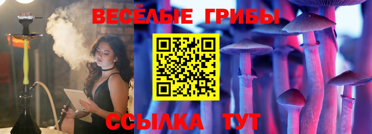 Славянск-на-Кубани  Галлюциногенные грибы ЛСД  Вход с VPN 